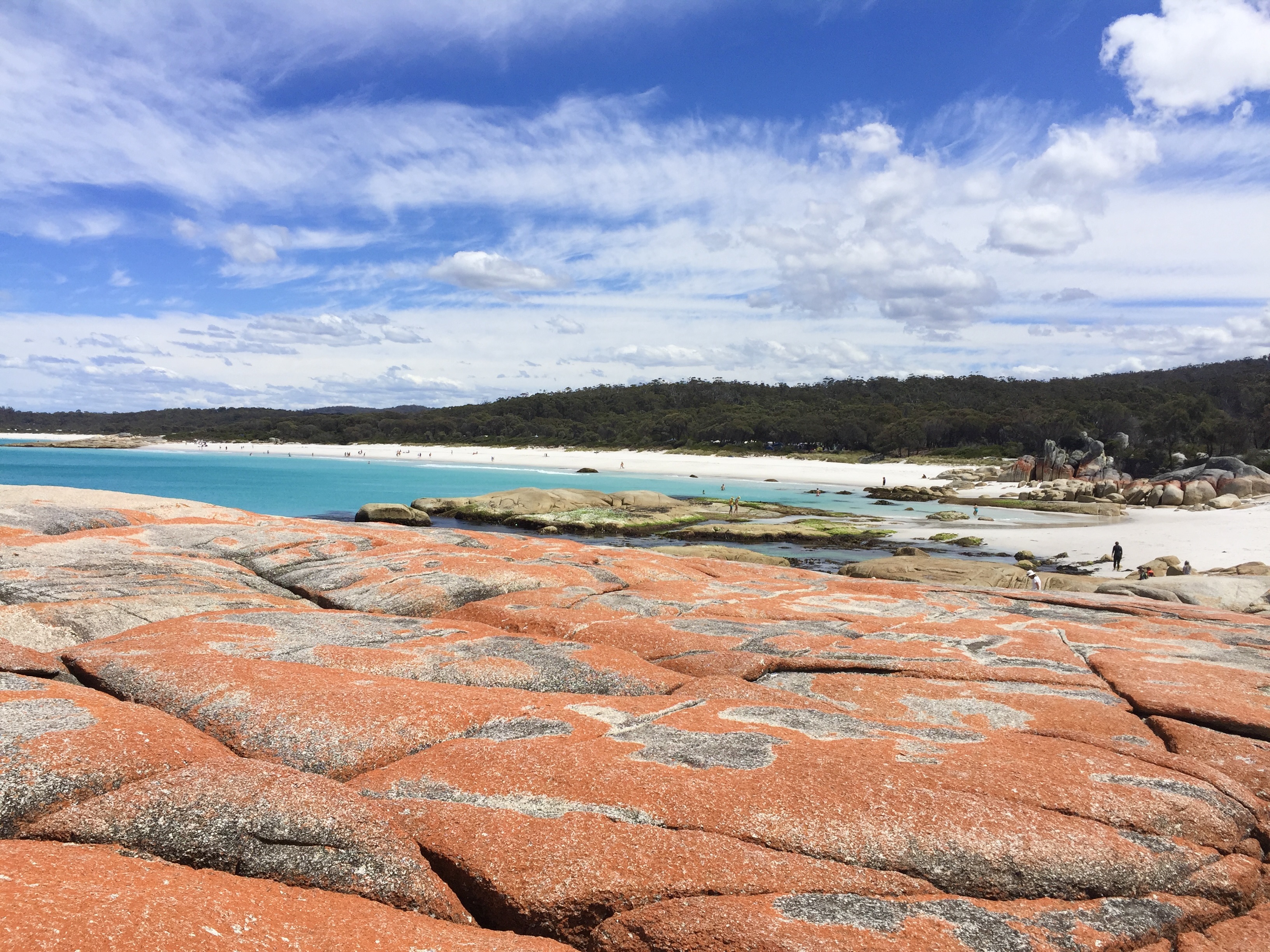 Coastal NSW